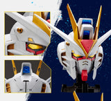 Bandai BN Head Collection Vol.2 Strike Freedom Gundam Head Sculpt (Back Order)