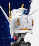 Bandai BN Head Collection Vol.2 Strike Freedom Gundam Head Sculpt (Back Order)