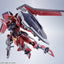 BAS65667 Bandai Tamashii Nations Metal Robot Spirits <SIDE MS> Immortal Justice Gundam Action Figure 4573102656674