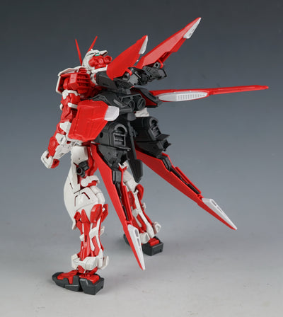 Effect Wing MG 1/100 Gundam Astray Red Frame/Blue Frame Flight Unit